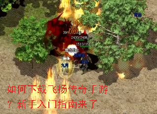 如何下载飞扬传奇手游?新手入门指南来了 如何下载飞扬传奇手游?新手入门指南来了