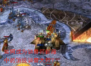 如何成为驯兽师新服中的顶级驯兽大师? 如何成为驯兽师新服中的顶级驯兽大师?