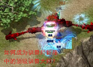 如何成为驯兽师新服中的顶级驯兽大师? 如何成为驯兽师新服中的顶级驯兽大师?