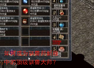 如何成为驯兽师新服中的顶级驯兽大师? 如何成为驯兽师新服中的顶级驯兽大师?