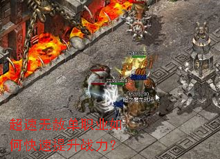 �������ⵥְҵ��ο�������ս����