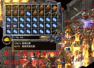 ������αܿ�ʢ������3�ĳ������壿