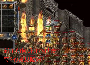 ������αܿ�ʢ������3�ĳ������壿