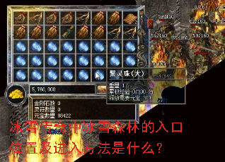 冰雪传奇中冰雪森林的入口位置及进入方法是什么? 冰雪传奇中冰雪森林的入口位置及进入方法是什么?