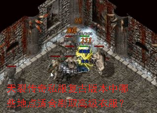 天裂传奇私服复古版本中哪些地点适合刷取高级衣服? 天裂传奇私服复古版本中哪些地点适合刷取高级衣服?