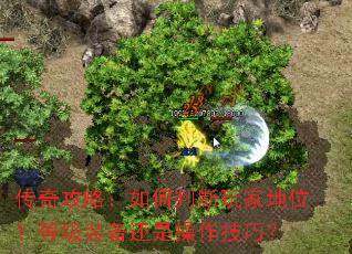 传奇攻略:如何判断玩家地位?等级装备还是操作技巧? 传奇攻略:如何判断玩家地位?等级装备还是操作技巧?
