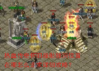 ��Ѫ���滳�ɷ����ö�λ��������ô������ϸ���ԣ�