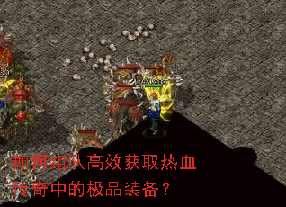 �����Ӹ�Ч��ȡ��Ѫ�����еļ�Ʒװ����