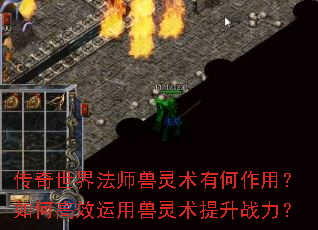 传奇世界法师兽灵术有何作用?如何高效运用兽灵术提升战力? 传奇世界法师兽灵术有何作用?如何高效运用兽灵术提升战力?