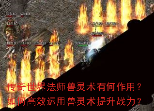 传奇世界法师兽灵术有何作用?如何高效运用兽灵术提升战力? 传奇世界法师兽灵术有何作用?如何高效运用兽灵术提升战力?