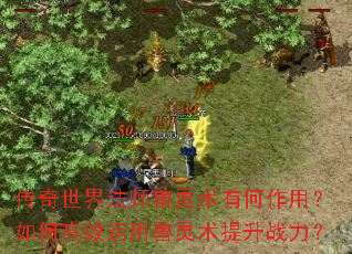 传奇世界法师兽灵术有何作用?如何高效运用兽灵术提升战力? 传奇世界法师兽灵术有何作用?如何高效运用兽灵术提升战力?