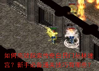 如何高效探索传奇白日门丛林迷宫?新手必备通关技巧有哪些? 如何高效探索传奇白日门丛林迷宫?新手必备通关技巧有哪些?