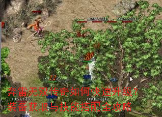 奔雷无双传奇如何快速升级?装备获取与技能搭配全攻略 奔雷无双传奇如何快速升级?装备获取与技能搭配全攻略