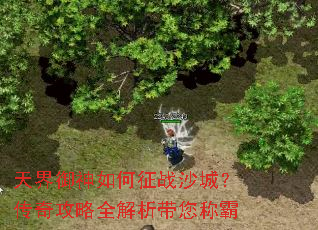 天界御神如何征战沙城?传奇攻略全解析带您称霸 天界御神如何征战沙城?传奇攻略全解析带您称霸