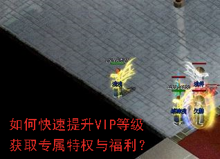 如何快速提升VIP等级获取专属特权与福利? 如何快速提升VIP等级获取专属特权与福利?