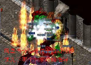 凤凰传奇私服道士四级技能优先学哪个?求攻略指导 凤凰传奇私服道士四级技能优先学哪个?求攻略指导