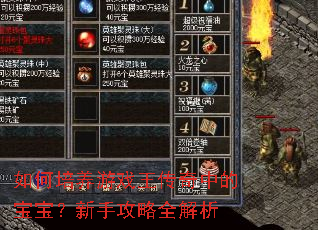 如何培养游戏王传奇中的宝宝?新手攻略全解析 如何培养游戏王传奇中的宝宝?新手攻略全解析