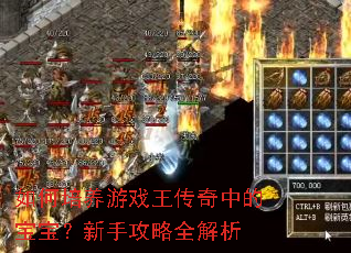 如何培养游戏王传奇中的宝宝?新手攻略全解析 如何培养游戏王传奇中的宝宝?新手攻略全解析
