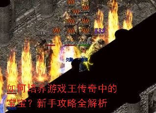 如何培养游戏王传奇中的宝宝?新手攻略全解析 如何培养游戏王传奇中的宝宝?新手攻略全解析
