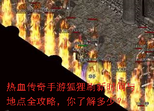 热血传奇手游狐狸刷新时间与地点全攻略,你了解多少? 热血传奇手游狐狸刷新时间与地点全攻略,你了解多少?