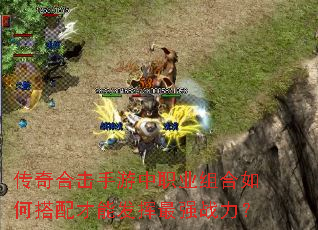 传奇合击手游中职业组合如何搭配才能发挥最强战力? 传奇合击手游中职业组合如何搭配才能发挥最强战力?