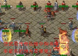 仿武易传奇私服中狗书爆率最高的地方是哪里? 仿武易传奇私服中狗书爆率最高的地方是哪里?