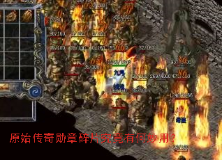 ԭʼ����ѫ����Ƭ�����к����ã�