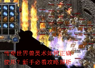 传奇世界兽灵术如何正确使用?新手必看攻略解析 传奇世界兽灵术如何正确使用?新手必看攻略解析