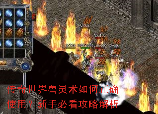 传奇世界兽灵术如何正确使用?新手必看攻略解析 传奇世界兽灵术如何正确使用?新手必看攻略解析
