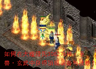 如何在大理段氏308276神·圣兽·玄武中获得顶级装备与技能? 如何在大理段氏308276神·圣兽·玄武中获得顶级装备与技能?
