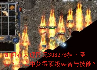 ����ڴ�������308276��ʥ�ޡ������л�ö���װ���뼼�ܣ�