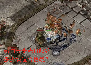 热血传奇赤月峡谷多少级适合挑战? 热血传奇赤月峡谷多少级适合挑战?