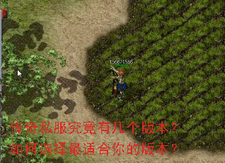 传奇私服究竟有几个版本?如何选择最适合你的版本? 传奇私服究竟有几个版本?如何选择最适合你的版本?