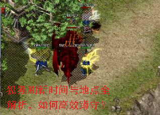 狐狸刷新时间与地点全解析,如何高效蹲守? 狐狸刷新时间与地点全解析,如何高效蹲守?