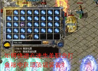 如何快速在迷失单职业打金服中获取顶级装备? 如何快速在迷失单职业打金服中获取顶级装备?