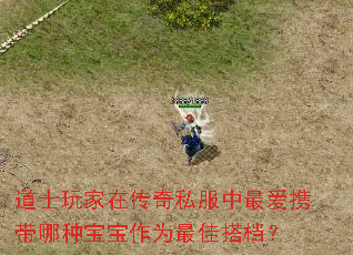 道士玩家在传奇私服中最爱携带哪种宝宝作为最佳搭档? 道士玩家在传奇私服中最爱携带哪种宝宝作为最佳搭档?