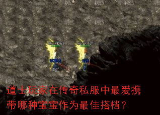 道士玩家在传奇私服中最爱携带哪种宝宝作为最佳搭档? 道士玩家在传奇私服中最爱携带哪种宝宝作为最佳搭档?