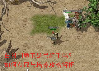 白日门鹰卫是弓箭手吗?如何获取与培养攻略解析 白日门鹰卫是弓箭手吗?如何获取与培养攻略解析