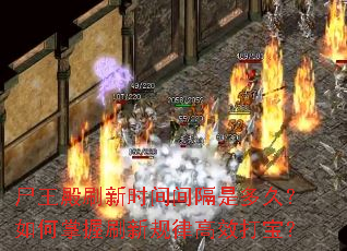 尸王殿刷新时间间隔是多久?如何掌握刷新规律高效打宝? 尸王殿刷新时间间隔是多久?如何掌握刷新规律高效打宝?