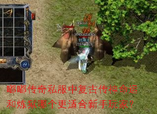 嘟嘟传奇私服中复古传神命运和炼狱哪个更适合新手玩家? 嘟嘟传奇私服中复古传神命运和炼狱哪个更适合新手玩家?