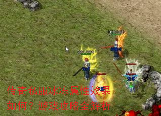 传奇私服冰冻属性效果如何?游戏攻略全解析 传奇私服冰冻属性效果如何?游戏攻略全解析