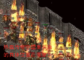 ��Ѫ�������������ľ���λ�������