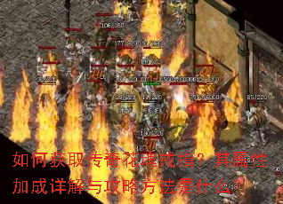 ��λ�ȡ���滨���ָ�������Լӳ�����빥�Է�����ʲô��