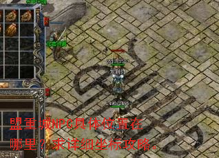盟重城NPC具体位置在哪里?求详细坐标攻略。 盟重城NPC具体位置在哪里?求详细坐标攻略。