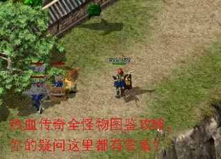 热血传奇全怪物图鉴攻略,你的疑问这里都有答案? 热血传奇全怪物图鉴攻略,你的疑问这里都有答案?