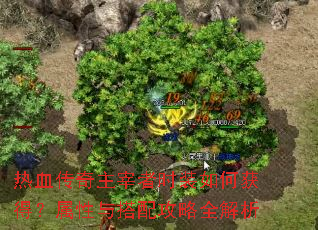 ��Ѫ����������ʱװ��λ�ã���������乥��ȫ����