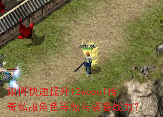 如何快速提升12woool传奇私服角色等级与装备战力? 如何快速提升12woool传奇私服角色等级与装备战力?
