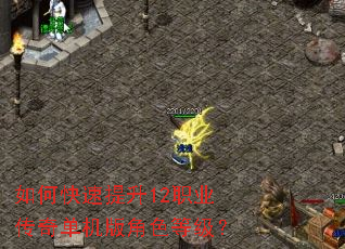 如何快速提升12职业传奇单机版角色等级? 如何快速提升12职业传奇单机版角色等级?