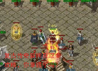 复古传奇盾牌获取全攻略,你掌握了吗? 复古传奇盾牌获取全攻略,你掌握了吗?