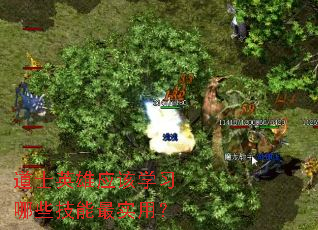 道士英雄应该学习哪些技能最实用? 道士英雄应该学习哪些技能最实用?